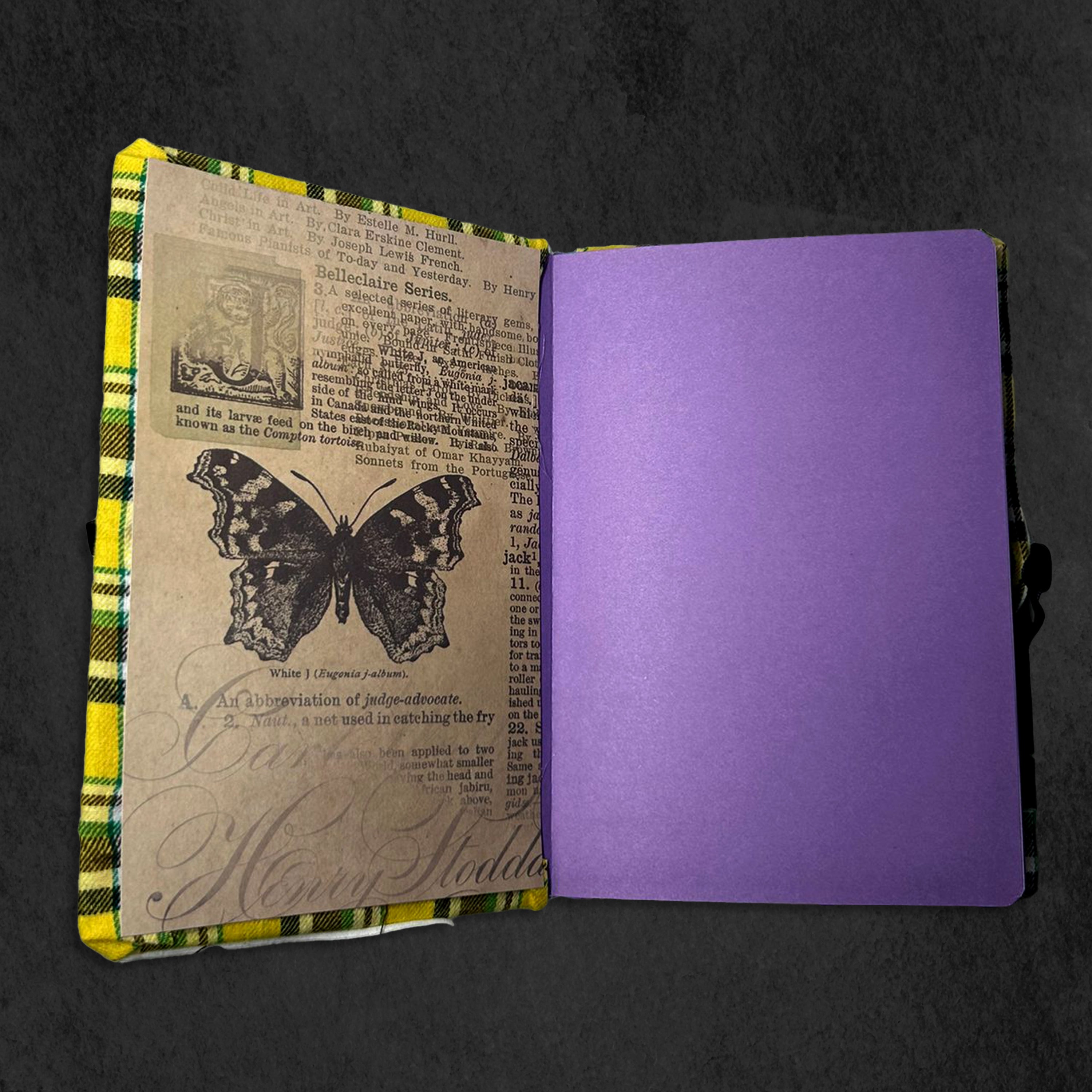 BEX X Scallywags Lined Notebook