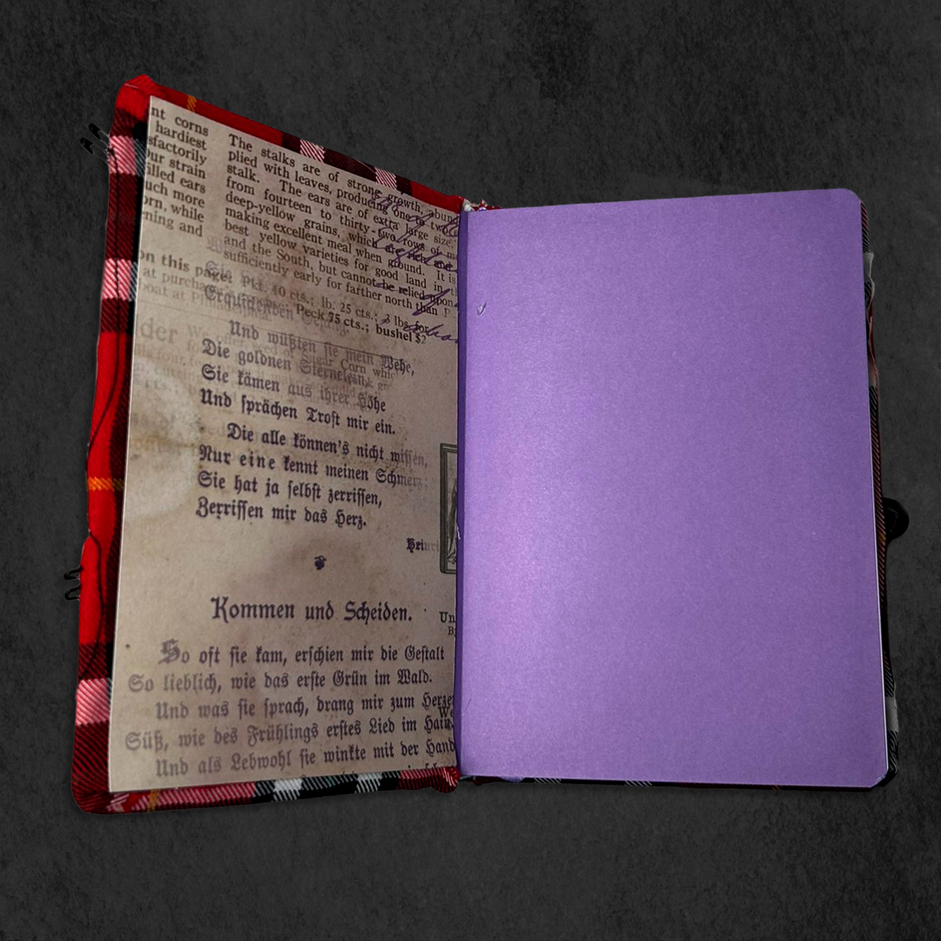 BEX X Scallywags Lined Notebook